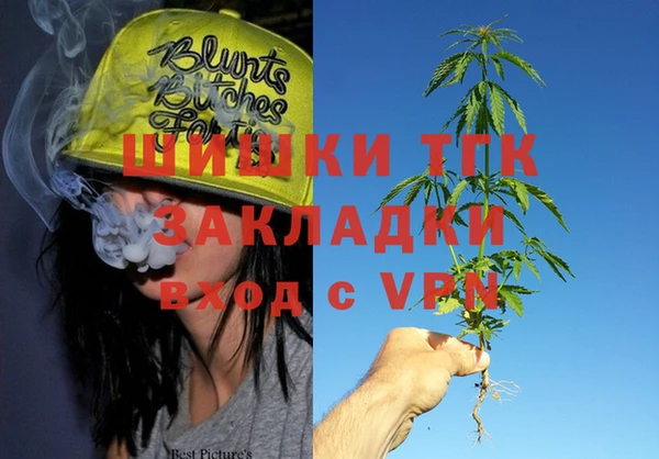 МДПВ Алексин