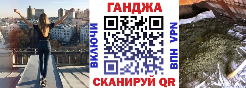 Конопля гибрид  Княгинино 